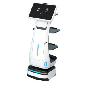 AI Robot