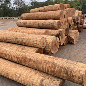 Red-oak-sawlogs